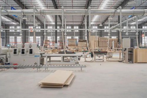 2022飛墨定制工廠全面升級 設(shè)計 施工 定制,不斷完善家居模式